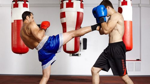 sport de combat sport de combat